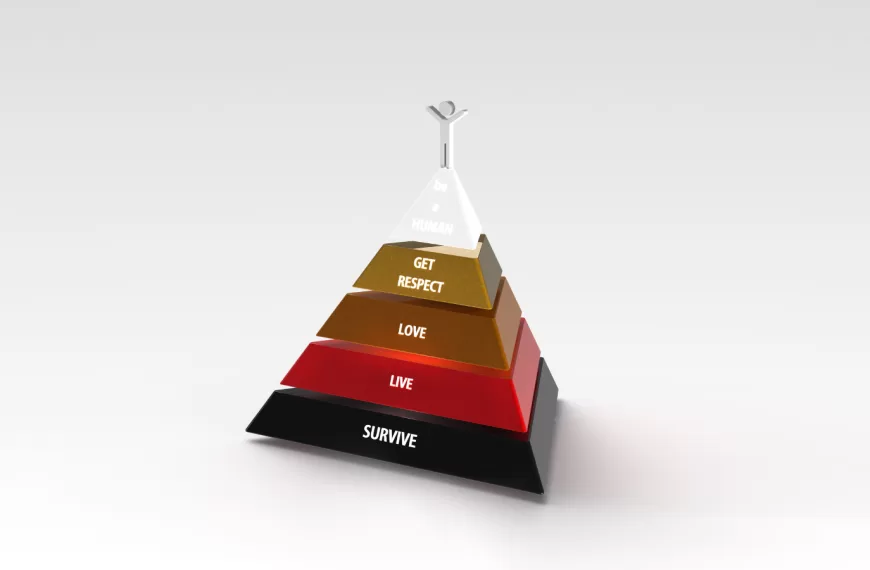 Necesidades Básicas